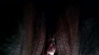 23 femal from woodlands names aira. Willing to trade 23 femal from woodlands names aira. Willing to trade