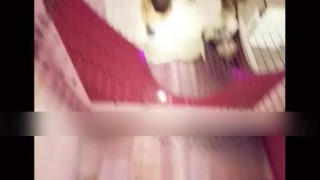 粉色的情趣床上裹着的是单男和女友的肉体