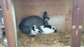 #섹스 #텀블러랭커 12만이 넘는 팔뤄 님들께 감사하며, 요즘 일이 바빠져서 불규칙적인데 최대한 노력 하겠습니다. 즐거운 주말 되세요