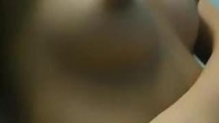 狗狗 4 狗狗 4