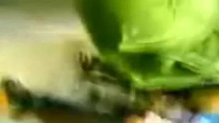 裙 裙