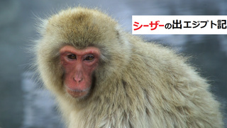 シーザーの出エジプト記 シーザーの出エジプト記