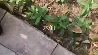 美女主播为了28万任务直播以办卡为由勾引健身教练到公园,突然有人路过吓得赶紧把鸡巴拔出来,美女说:你胆子太小了 美女主播为了28万任务直播以办卡为由勾引健身教练到公园,突然有人路过吓得赶紧把鸡巴拔出来,美女说:你胆子太小了