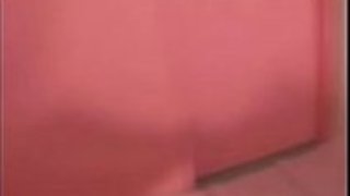エアロライナーによる日本語ピギーテイスト