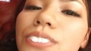 楓人形はビーバーは、こすりました 楓人形はビーバーは、こすりました