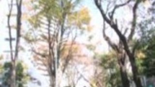 しおりうたは彼女の女に過酷な刺激のために懇願します しおりうたは彼女の女に過酷な刺激のために懇願します