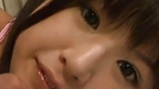 k009 k009