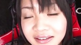 素晴らしい桃瀬ひかる用ダーティ猫の演劇