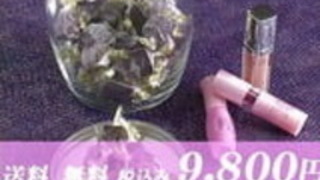 2人の素敵な女の子がフェラチオスキルをテストします