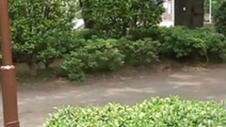 ヤラナイカ