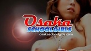 毛深いアジアの猫 毛深いアジアの猫