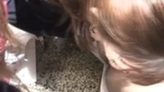 ラブリー洋子はハードコアに近い ラブリー洋子はハードコアに近い