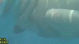 日本のママと息子は、水のゲームでリンクします。LinkFull:http://q.gs/E5g72 日本のママと息子は、水のゲームでリンクします。LinkFull:http://q.gs/E5g72