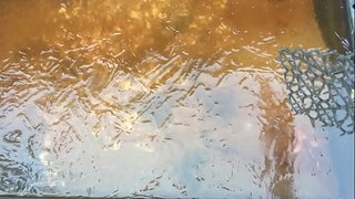 認証動画 認証動画