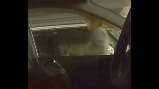 車内露出6 車内露出6