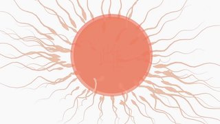 そに子で裏表ラバーズ(修正版) そに子で裏表ラバーズ(修正版)