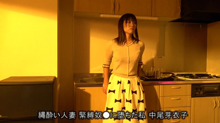 AVS-024 AVSCollector’s2020年間 SPECIAL BESTカタログ AVS-024 AVSCollector’s2020年間 SPECIAL BESTカタログ