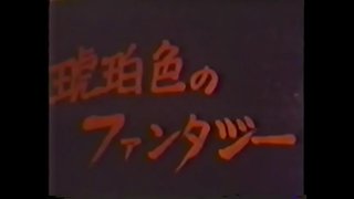 琥珀色のファンタジー 琥珀色のファンタジー