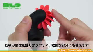 トゥエルヴ キス トゥエルヴ キス